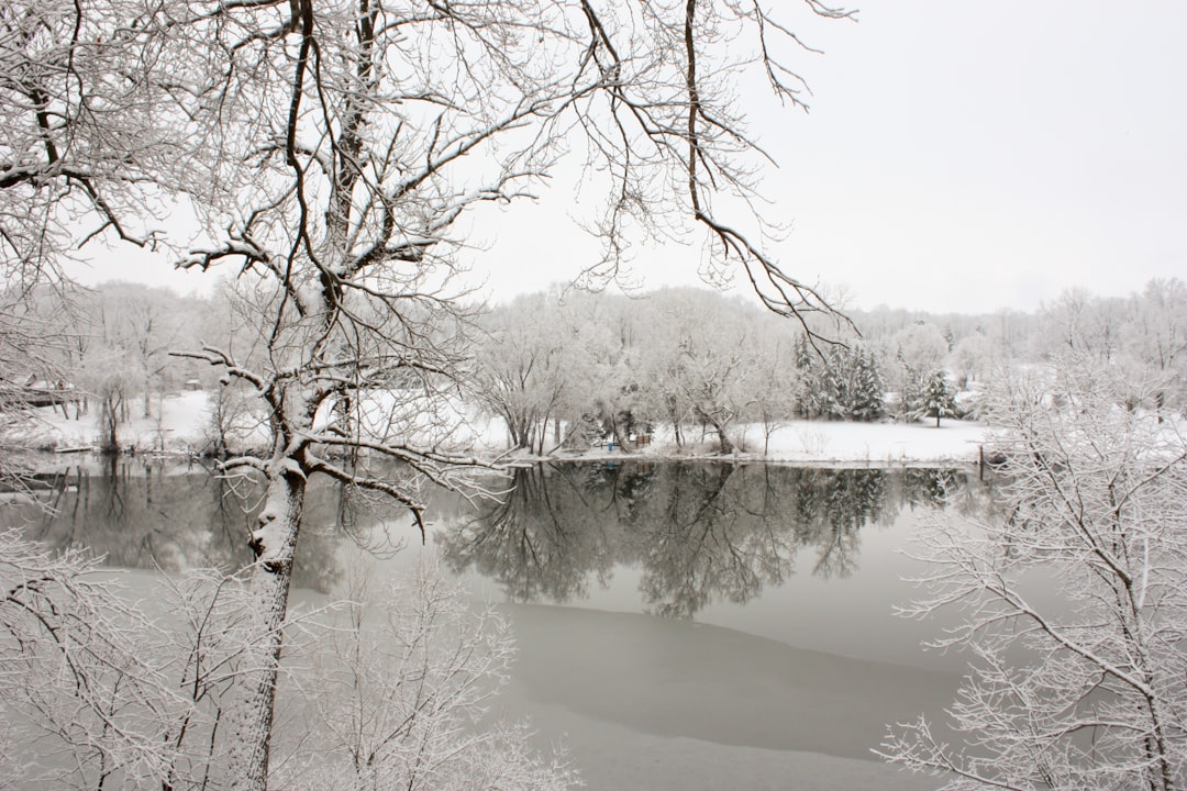 Photo icy river